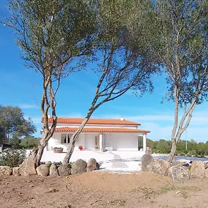 Ferienhaus - Alebea -, Olbia
