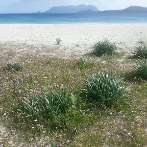 Maestrale Casa vacanze